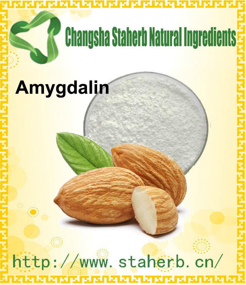 Amygdalin Vitamin B17Bitter Almond Extract CAS No 29883_15_6